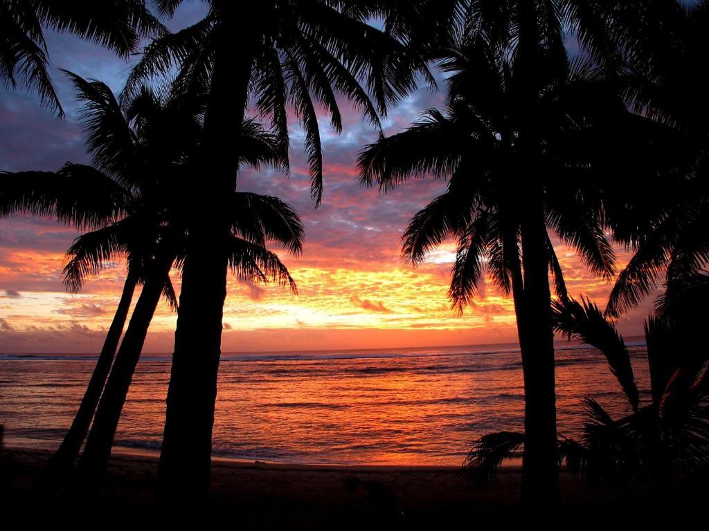 Sunhaven Beach Bungalows (Adults Only) Rarotonga Bagian luar foto