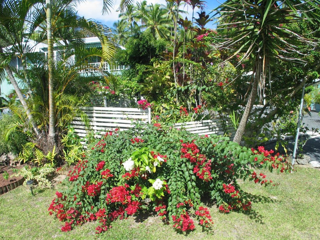 Sunhaven Beach Bungalows (Adults Only) Rarotonga Bagian luar foto